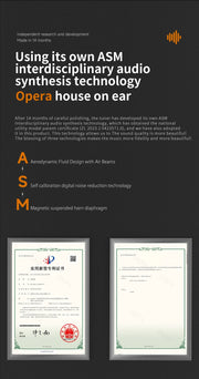 OWS Earhook Open type Earphones