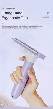 Portable Pet Cleaning Brush
