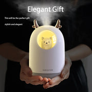 Mini USB Humidifier 300ml Small Cute for Bedroom or Car 1-Year Warranty for Household Use
