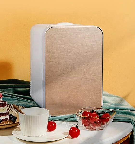 Mini Car Refrigerator 12V 12L Car Fridge Portable Refrigerator