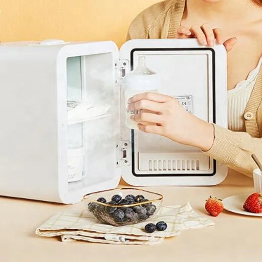 Mini Car Refrigerator 12V 12L Car Fridge Portable Refrigerator